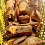 রাজহাঁস লাইভ ওয়েট ৩ কেজি সাইজ