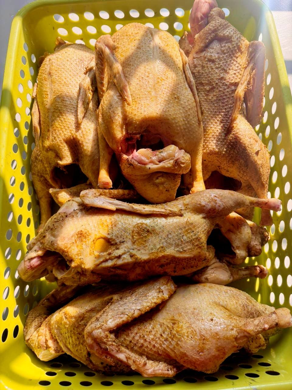 637589263_1209957521309494_561803903532786081_n রাজহাঁস লাইভ ওয়েট ৩ কেজি সাইজ - Image 1