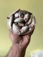 দেশী পুটি মাছ - Image 3