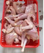 অর্গানিক দেশি মুরগি।