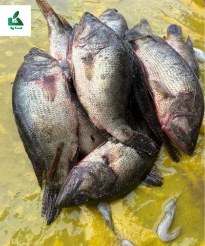 মেনি মেনি