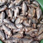 পুটি শুকনা শুটকি 