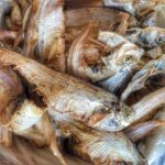 ফাইস্যা শুকনা