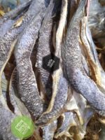 শোল মাছের শুটকি