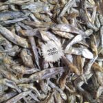 বাইল্লা মাছের শুটকি