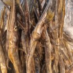 কাইক্কা মাছের শুটকি