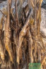 কাইক্কা মাছের শুটকি