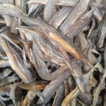 চিকরা মাছের শুটকি