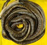 বাইম মাছ - Image 4