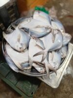 রুপচাঁদা মাছ - Image 2