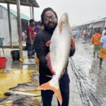 পাঙ্গাস মাছ