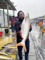 পাঙ্গাস মাছ