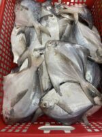 রুপচাঁদা মাছ - Image 3