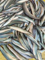 তারা বাইম - Image 3