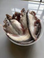 পাবদা মাছ - Image 3