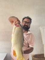 কার্ফু মাছ - Image 2