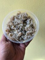 ছোট চিংড়ি মাছ - Image 2