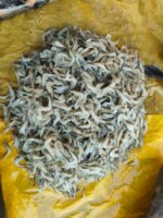 ছোট চিংড়ি মাছ - Image 3