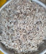 কাচকি মাছ - Image 2