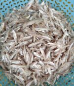 কাচকি মাছ