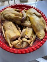 দেশী হাঁস - Image 2