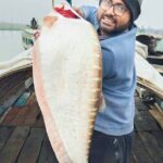 চিতল