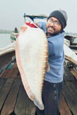চিতল