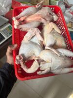 দেশী মোরগ - Image 2